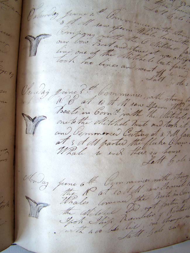 A HISTORICALLY IMPORTANT Whaling Log Book from the ship William Hamilton of New Bedford recording its' Pacific Ocean whaling expedition from 1834 to 1837. — image 7